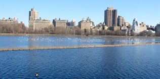 Reservoir