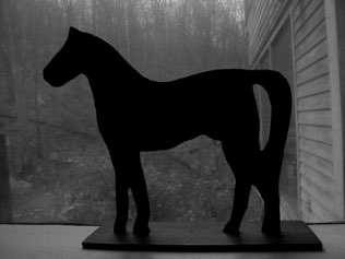 Freed steed