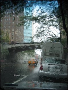 Untitled, UN