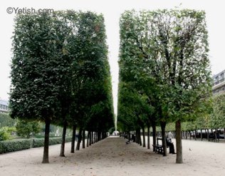 Palais Royal