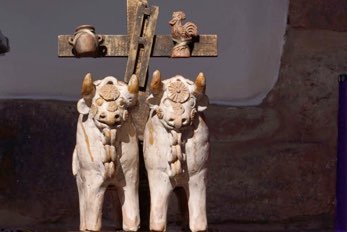 Oxen