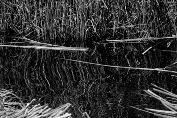 Lake Titicaca