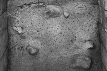 RockFace