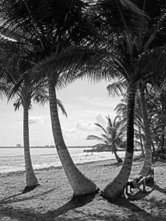 Dorado Beach