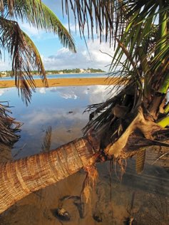 Luquillo
