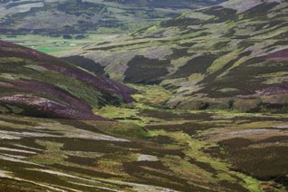 Highlands
