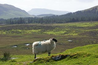 Scotland