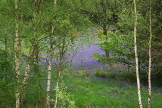 Outside Pitlochry