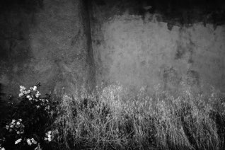 Untitled, Taos
