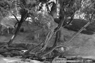 Untitled, UNM