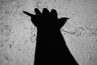 Untitled, Taos