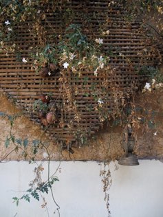 Damascus