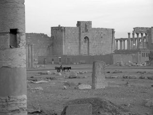 Ruins, Palmyra