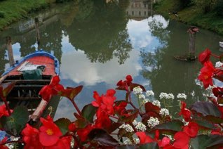 Untitled, Treviso