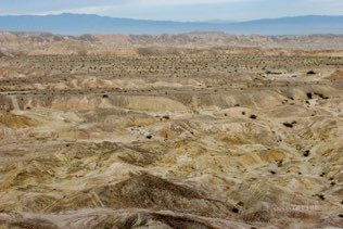 Borrego Desert