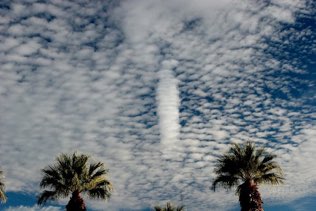 Borrego springs
