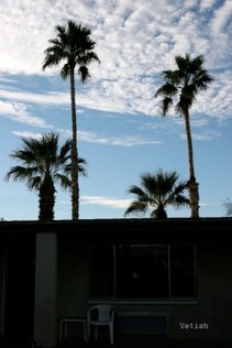 Borrego springs